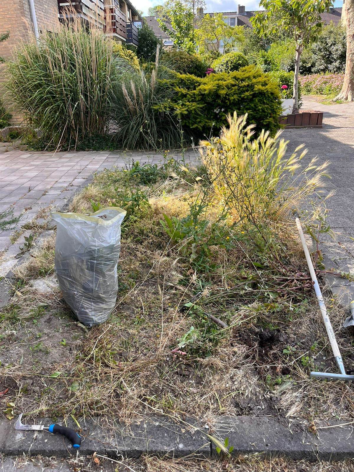 Border vol onkruid en verdorde grassen voor het wieden, met een afvalzak en tuingereedschap